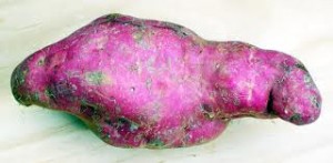 The humorous shape doesn't justify the price of a kumara. The world's most expensive spud?